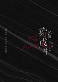 染指的小说